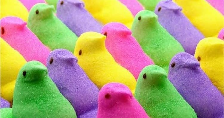 Science & Nature Class - Peeps STEM Fun