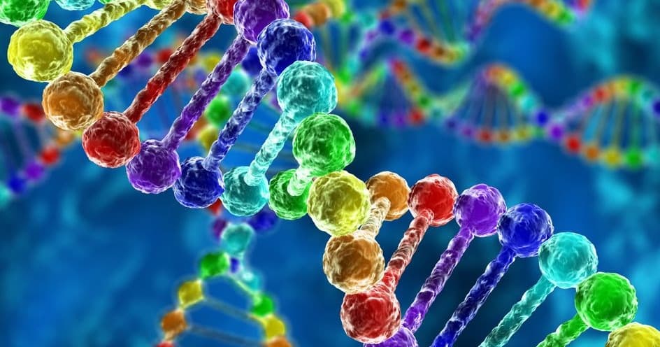 Science & Nature Class - Genetics in 5