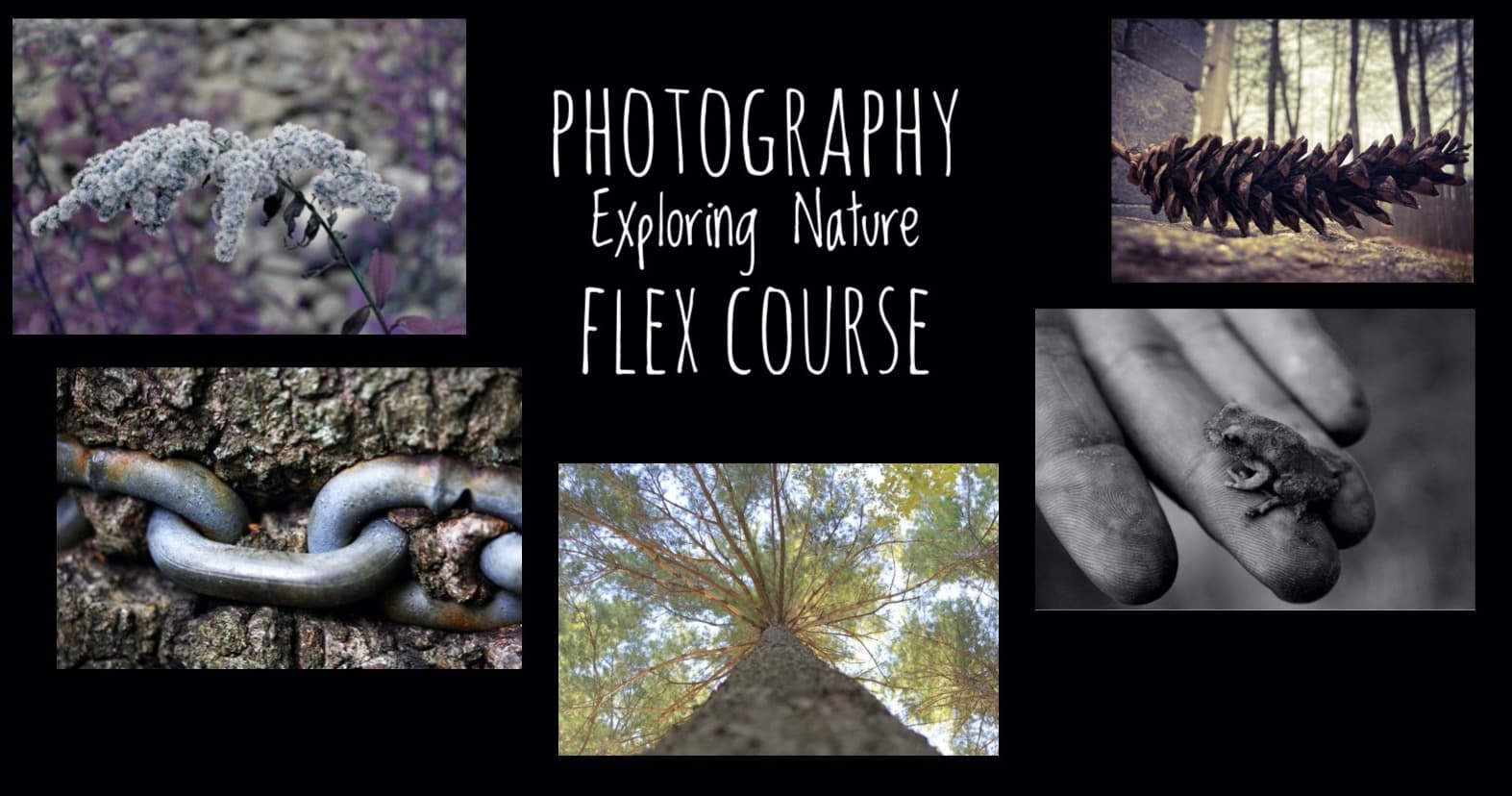 Art Class - Nature Photography Course