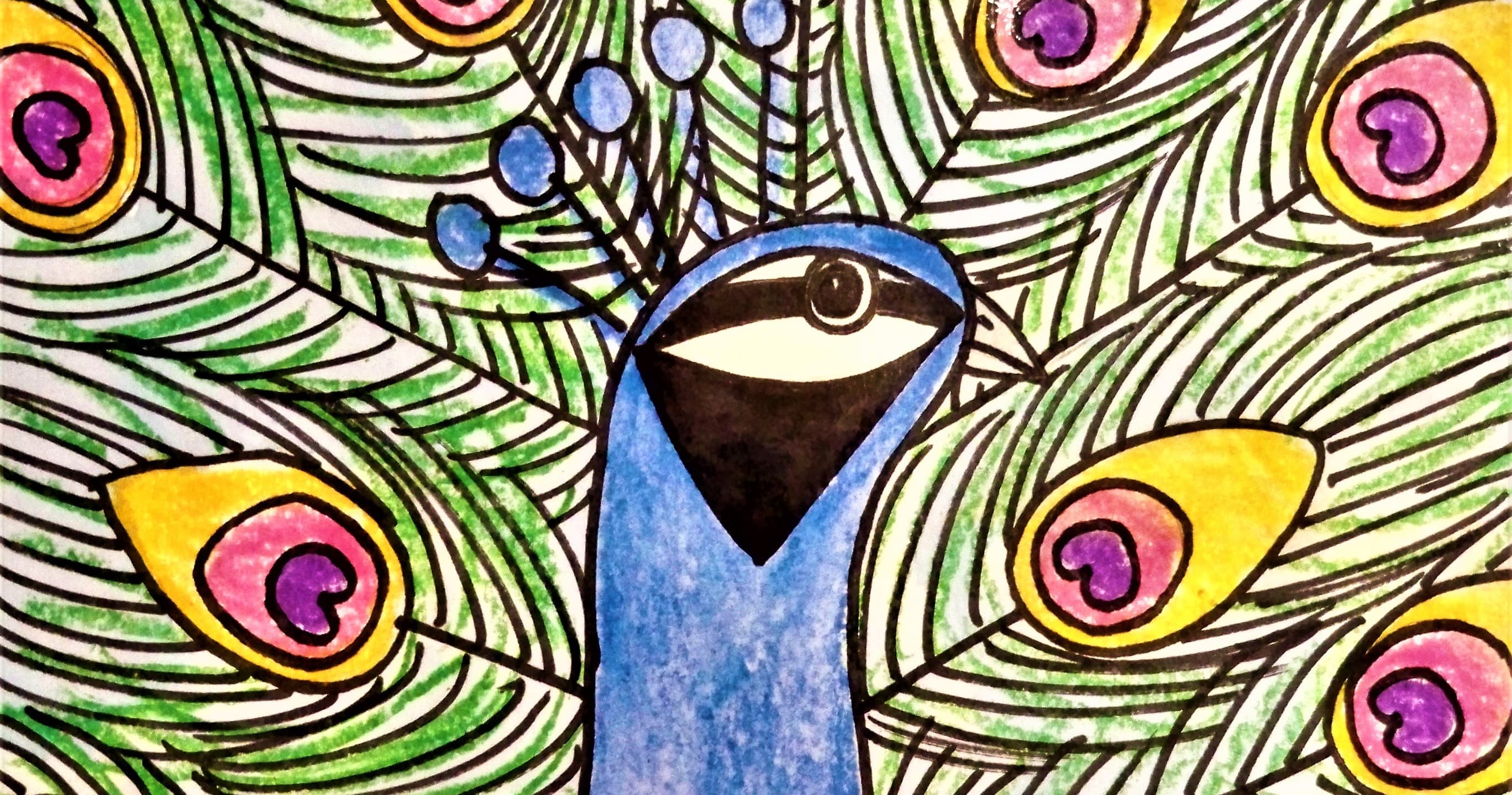 Art Class - Draw a Beautiful Peacock