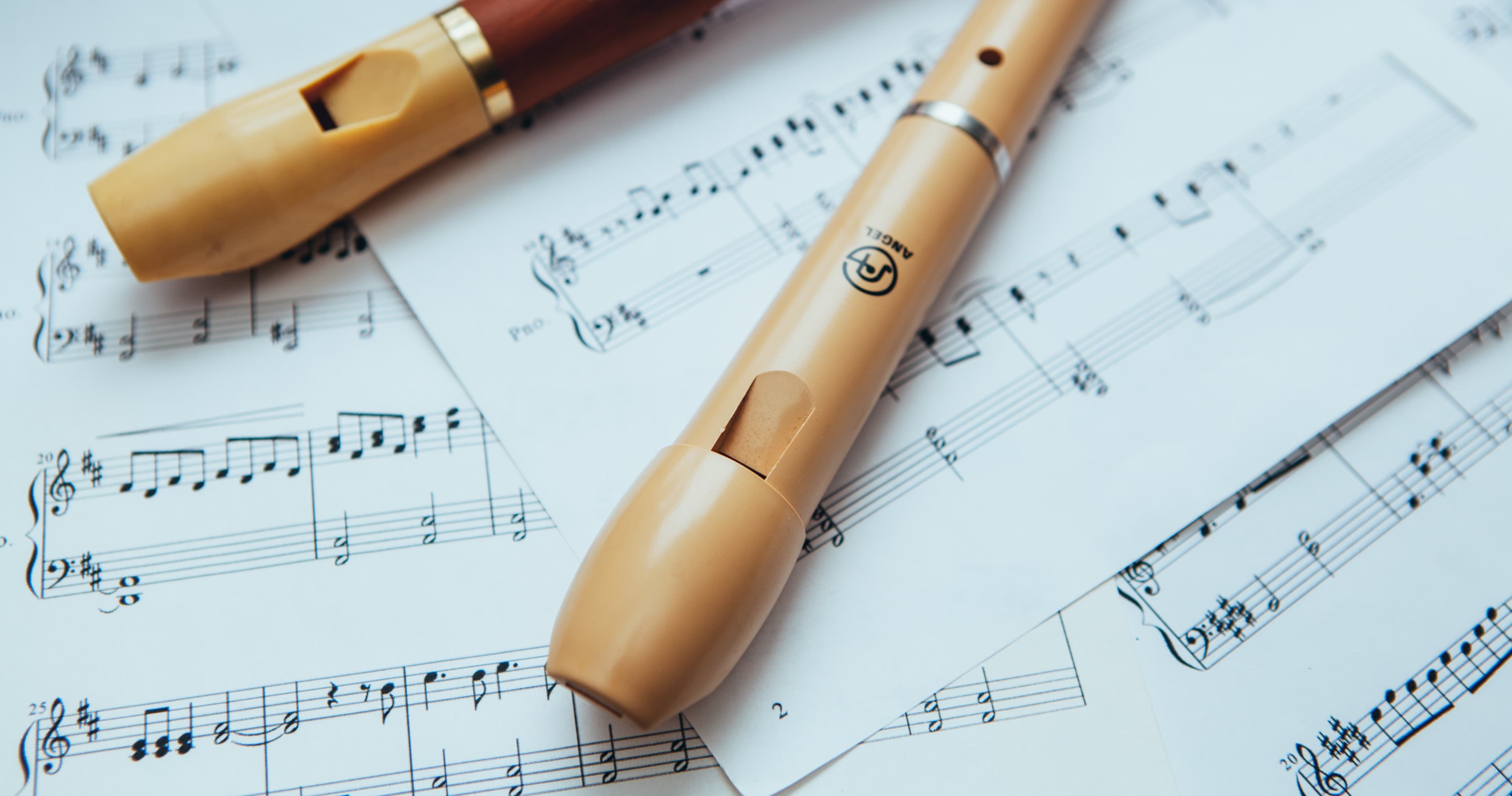 Music Class - Beginner Recorder Mastery