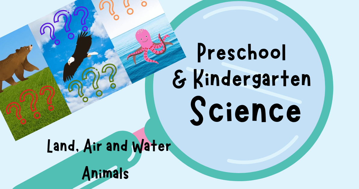 Early Education Class - Animal Homes