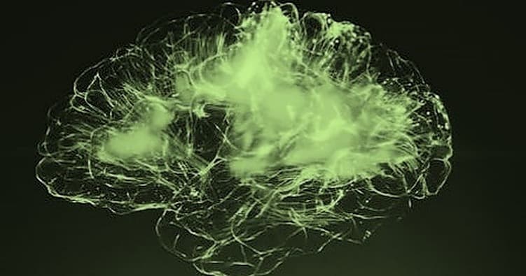 Science & Nature Class - Biopsychology