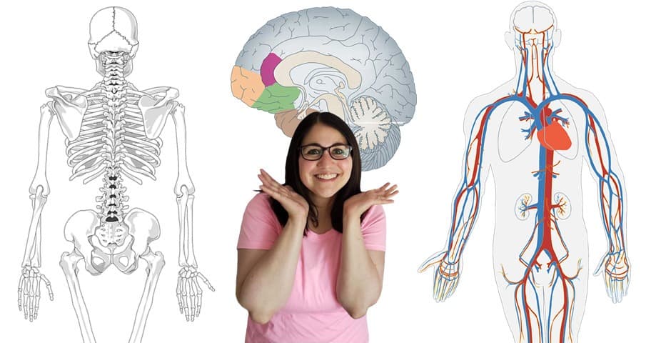 Science & Nature Class - Explore Body