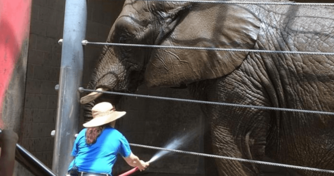 Science & Nature Class - Zoo Animal Vet