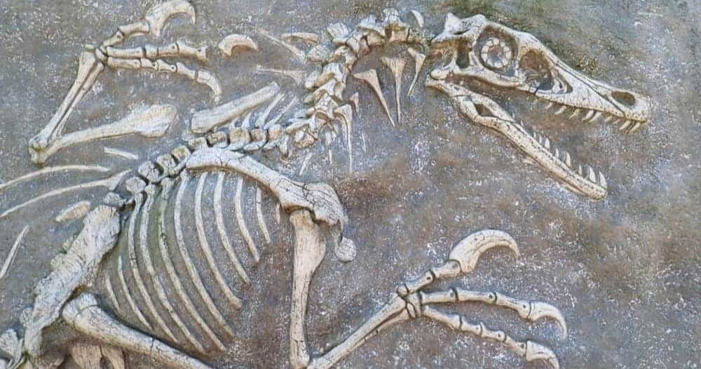 Science & Nature Class - Dino Dig Deets