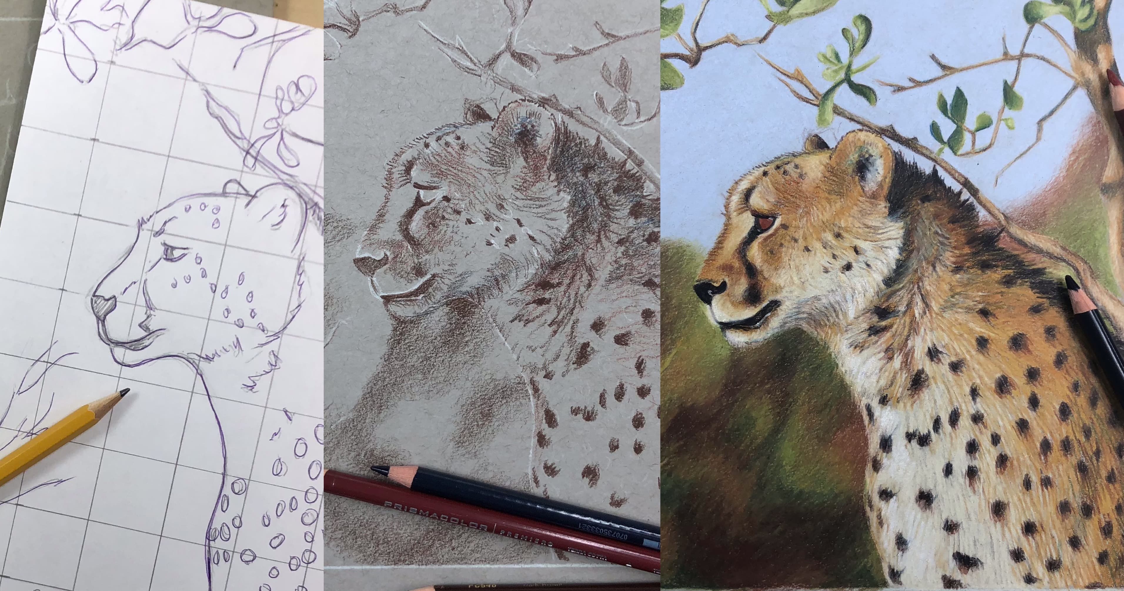 Art Class - Colored Pencil Animal Art