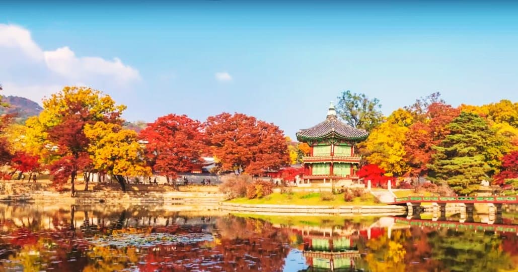 World Languages Class - Master Korean