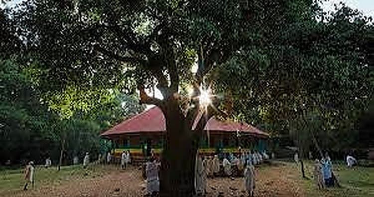 Science & Nature Class - Sacred Forest