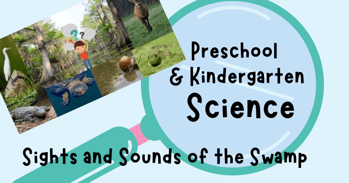 Science & Nature Class - Swamp Wonders