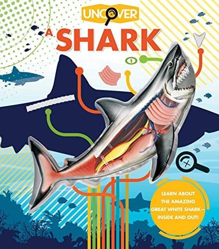 Uncover a Shark (David George Gordon, Hardcover,