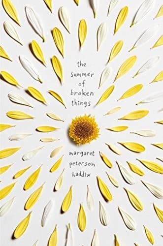 The Summer of Broken Things (Margaret Peterson
