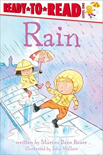Rain (Marion Dane Bauer, Hardcover, Grades P to 1)