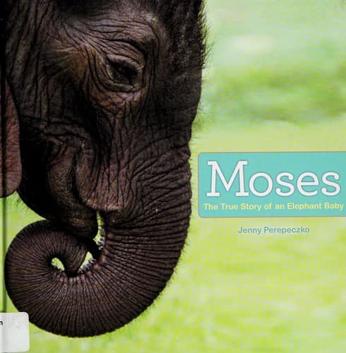 Moses: The True Story of an Elephant Baby