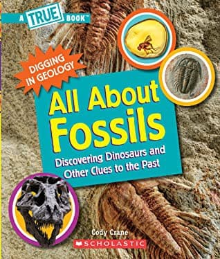 All About Fossils (A True Book: Digging in