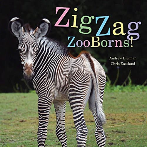 Zigzag Zooborns!: Zoo Baby Colors and Patterns