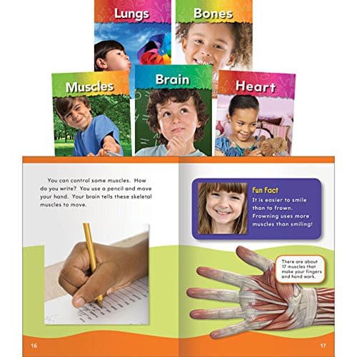 My Body Set of 5 (Multiple Authors, , Grades K to