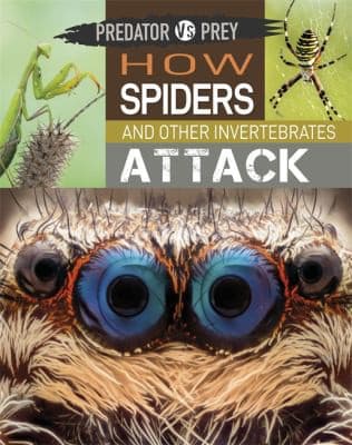 Predator vs Prey: How Spiders and other