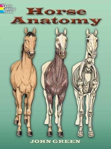 Horse Anatomy (John Green, Paperback, Grades 6 to