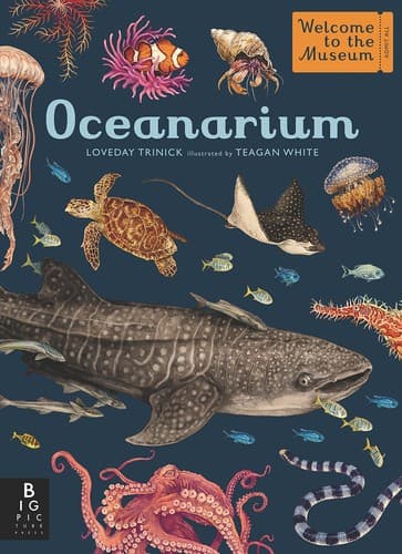 Oceanarium: Welcome to the Museum (Loveday