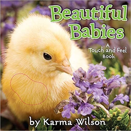 Beautiful Babies (Little Simon, Hardcover, Grades