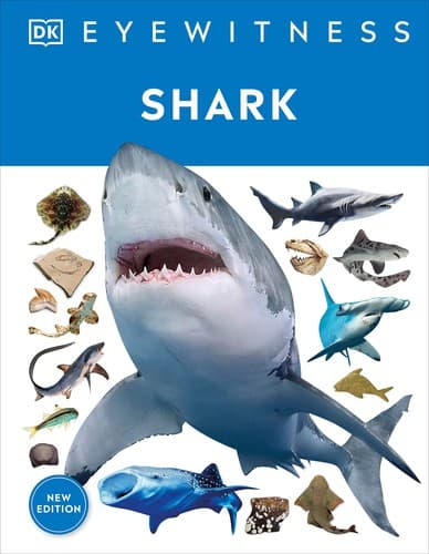 Eyewitness Shark: Dive into the fascinating world