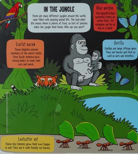 Little Explorers: The Animal World (Ruth Martin,