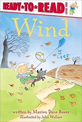 Wind (Marion Dane Bauer, Hardcover, Grades P to 1)