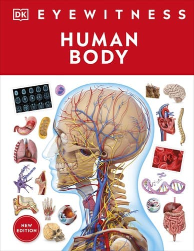 Eyewitness Human Body (DK, Hardcover, Grades 3 to