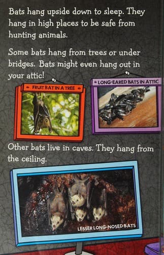 Fly Guy Presents: Bats (Scholastic Reader, Level