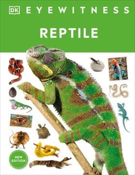 Eyewitness Reptile (DK, Hardcover, Grades 3 to 7)