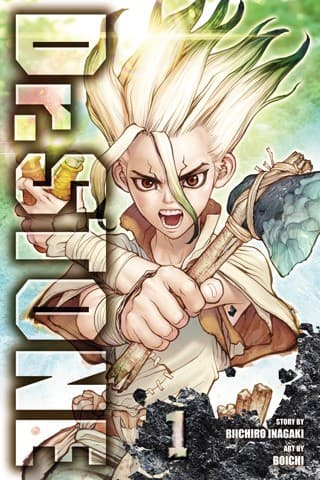 Dr. STONE, Vol. 1 (Riichiro Inagaki, Paperback,