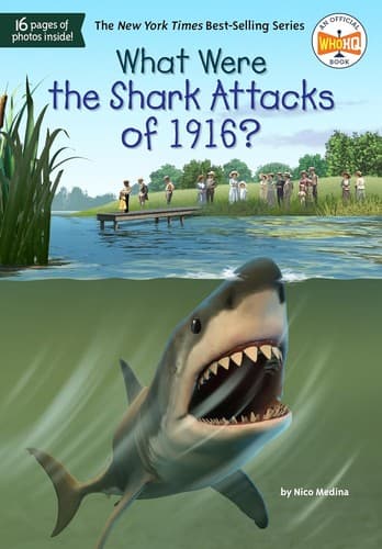 What Were the Shark Attacks of 1916? (Nico