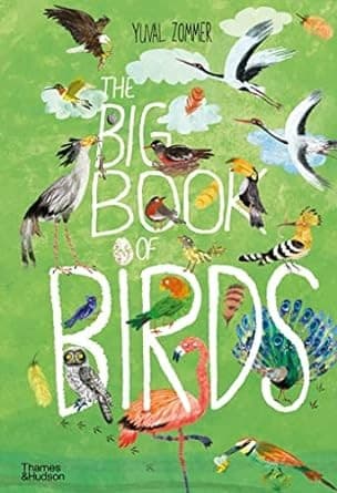 The Big Book of Birds (Yuval Zommer, Hardcover,