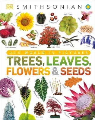 Trees, Leaves, Flowers and Seeds: A Visual
