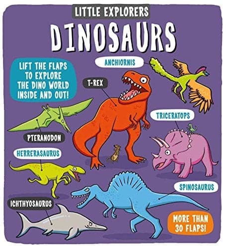 Little Explorers: Dinosaurs (Little Bee Books,