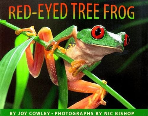 Red-eyed Tree Frog (Nic Bishop, Hardcover, Grades