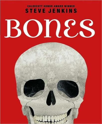 Bones: Skeletons and How They Work: Skeletons and
