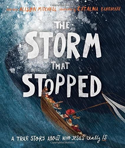 The Storm That Stopped (, Hardcover, Grades 3 to