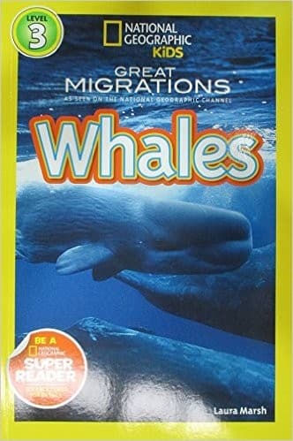 Whales (Laura Marsh, Paperback, Grades 2 to 4)