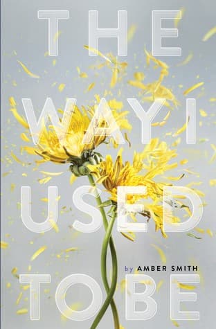The Way I Used to Be (Amber Smith, Hardcover,