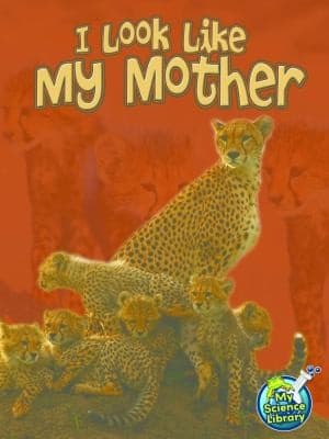 I Look Like My Mother (Julie Lundgren, Paperback,