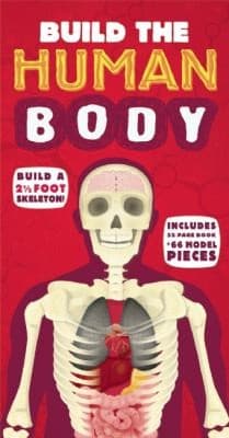 Build the Human Body With Skeleton (Richard