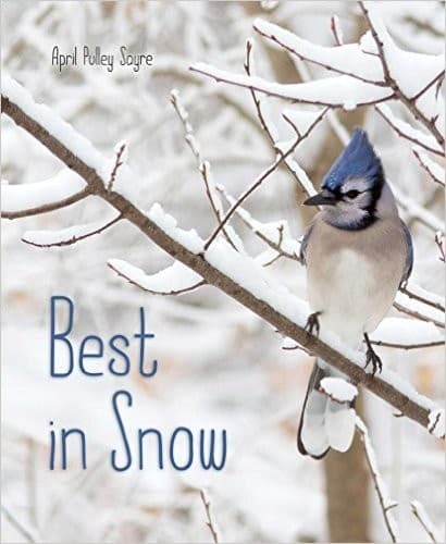 Best in Snow (April Pulley Sayre, Hardcover,