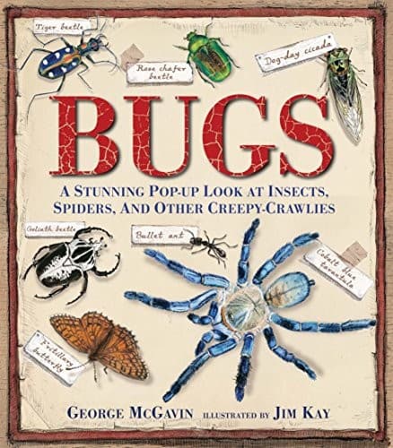 Bugs: A Stunning Pop-up Look at Insects, Spiders,