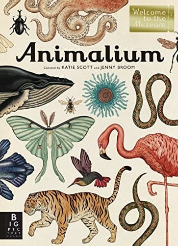 Animalium: Welcome to the Museum (Jenny Broom,