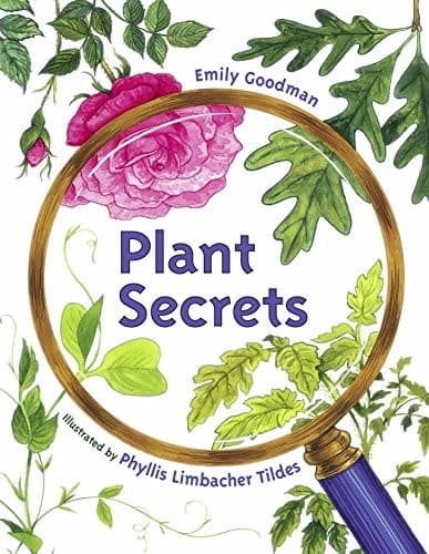 Plant Secrets (Emily Goodman, Paperback, Grades P