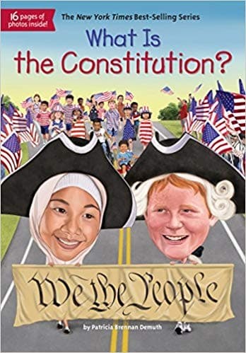 What Is the Constitution? (Patricia Brennan