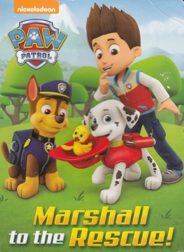 The Little Red Rescue Box (Paw Patrol) (Random