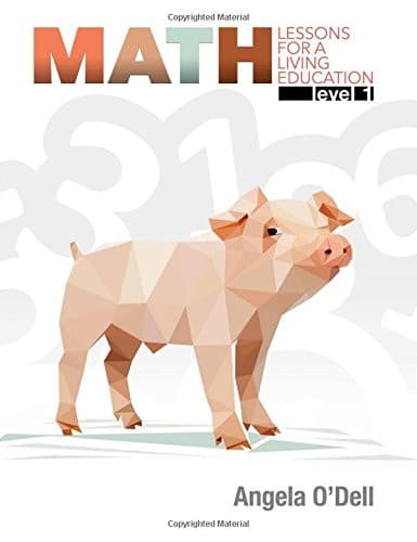 Math Lessons - Level 1 by Master Books